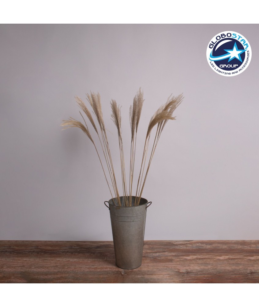 GloboStar® MISCANTHUS 36538 Αποξηραμένο Φυτό Μίσχανθος - Μπουκέτο Διακοσμητικών Κλαδιών Μπεζ Υ120cm - Σετ 10 τμχ